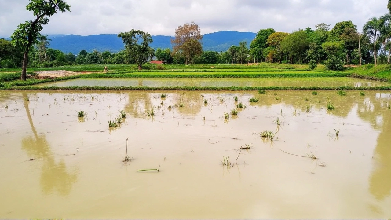 झारखंड में तेज आंधी और भारी बारिश ने मौसम को बनाया सुहाना