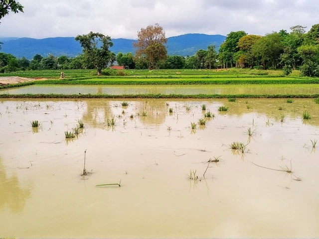 झारखंड में तेज आंधी और भारी बारिश ने मौसम को बनाया सुहाना